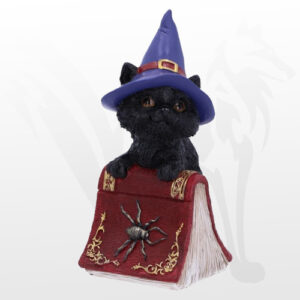 Figurka Hocus - NemesisNow