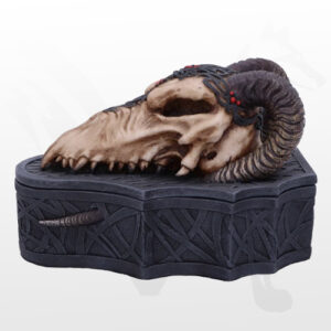 Szkatułka Dragon Skull Box - NemesisNow
